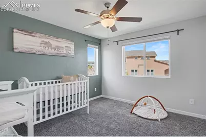 10105 Thrive Lane, Colorado Springs, CO 80924 - Photo 32