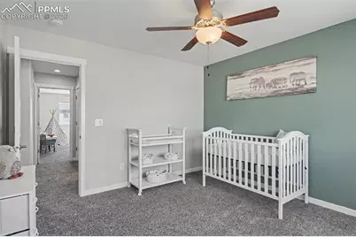 10105 Thrive Lane, Colorado Springs, CO 80924 - Photo 34