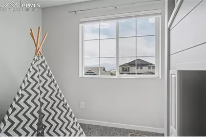 10105 Thrive Lane, Colorado Springs, CO 80924 - Photo 28