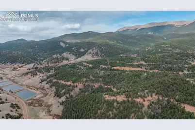 881 Timber Ridge Road, Divide, CO 80814 - Photo 2