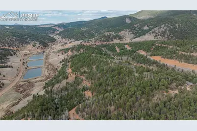 881 Timber Ridge Road, Divide, CO 80814 - Photo 8