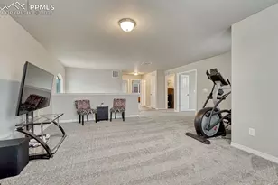 4616 Halite Way, Colorado Springs, CO 80938 - Photo 20