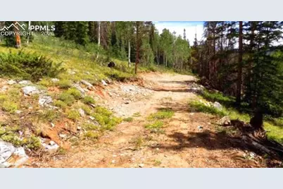 765.2A, Almont, CO 81210 - Photo 4