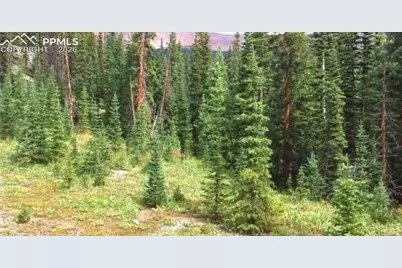 765.2A, Almont, CO 81210 - Photo 1