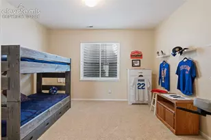 2724 Thrush Grove, Colorado Springs, CO 80920 - Photo 32