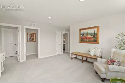 17687 Lemon Rye Loop, Monument, CO 80132 - Photo 14