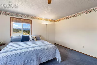 1506 Lake Place, Divide, CO 80814 - Photo 16