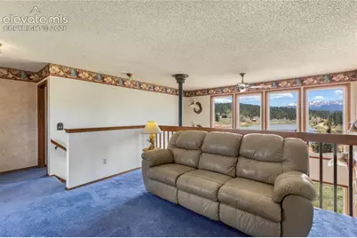 1506 Lake Place, Divide, CO 80814 - Photo 14