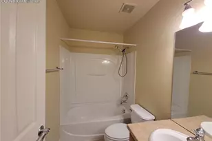 932 Burning Bush Point, Monument, CO 80132 - Photo 14