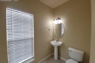 932 Burning Bush Point, Monument, CO 80132 - Photo 8