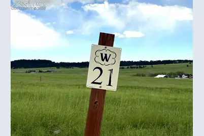 17435 Twinkling Star Lane, Colorado Springs, CO 80908 - Photo 4