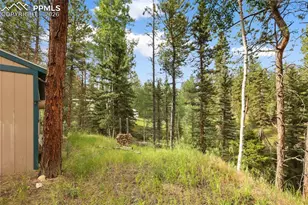410 Rangeview Rd, Divide, CO 80814 - Photo 18