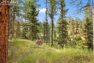 410 Rangeview Rd, Divide, CO 80814 - Photo 16
