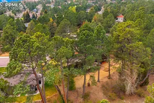 7147 Wintery Loop, Colorado Springs, CO 80919 - Photo 42