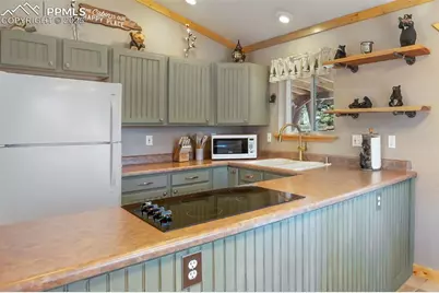 31 Handcart Circle, Florissant, CO 80816 - Photo 14