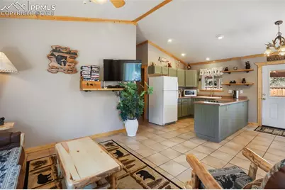31 Handcart Circle, Florissant, CO 80816 - Photo 8