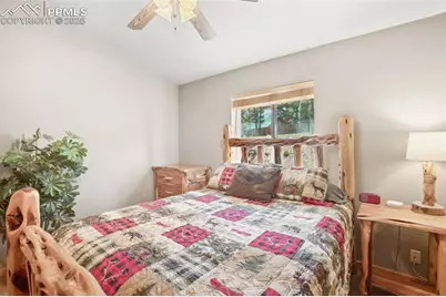 31 Handcart Circle, Florissant, CO 80816 - Photo 20