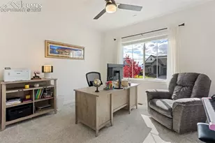 9821 Antelope Ravine Dr, Colorado Springs, CO 80908 - Photo 16