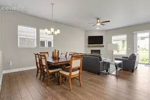 10012 Prima Run Pl, Colorado Springs, CO 80924 - Photo 8