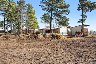 8265 Tannenbaum Rd, Colorado Springs, CO 80908 - Photo 40