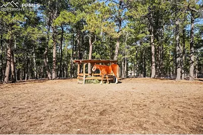 8265 Tannenbaum Road, Colorado Springs, CO 80908 - Photo 38