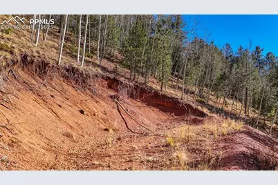 80 Beaver Pond Road, Divide, CO 80814 - Photo 18