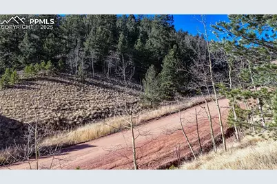 80 Beaver Pond Road, Divide, CO 80814 - Photo 8