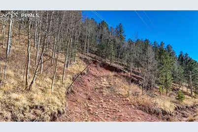 80 Beaver Pond Road, Divide, CO 80814 - Photo 24