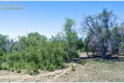 5250 Meridian Road, Colorado Springs, CO 80831 - Photo 14