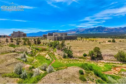 1011 Charismatic Way, Colorado Springs, CO 80921 - Photo 4