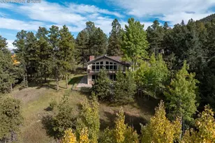 1051 Forest Hill Rd, Woodland Park, CO 80863 - Photo 6
