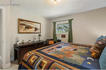 1051 Forest Hill Road, Woodland Park, CO 80863 - Photo 28