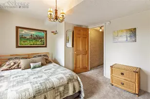 1051 Forest Hill Rd, Woodland Park, CO 80863 - Photo 38