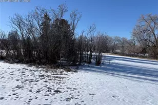 3380 Curtis Rd, Peyton, CO 80831 - Photo 4