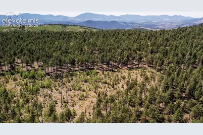 Unit 4 County Road 51, Florissant, CO 80816 - Photo 36