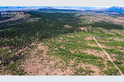 Unit 4 County Road 51, Florissant, CO 80816 - Photo 42