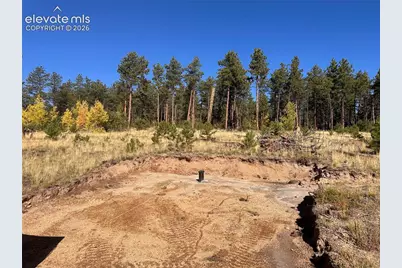 Unit 4 County Road 51, Florissant, CO 80816 - Photo 4