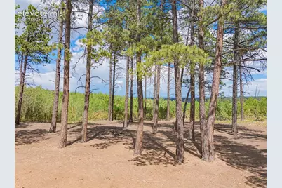 Unit 4 County Road 51, Florissant, CO 80816 - Photo 26