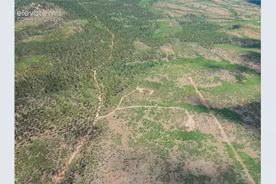 Unit 4 County Road 51, Florissant, CO 80816 - Photo 24