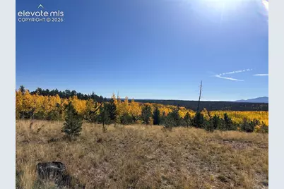 Unit 4 County Road 51, Florissant, CO 80816 - Photo 28