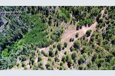 Unit 4 County Road 51, Florissant, CO 80816 - Photo 44