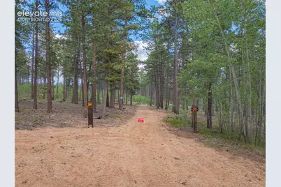Unit 4 County Road 51, Florissant, CO 80816 - Photo 2