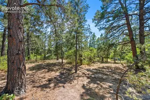 1675 Oakwood Dr, Monument, CO 80132 - Photo 38