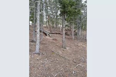 495 Wakanda Trail, Woodland Park, CO 80863 - Photo 1