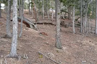 495 Wakanda Trail, Woodland Park, CO 80863 - Photo 1