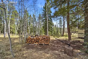 164 Aspen Cir, Divide, CO 80814 - Photo 36