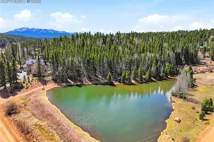164 Aspen Cir, Divide, CO 80814 - Photo 38