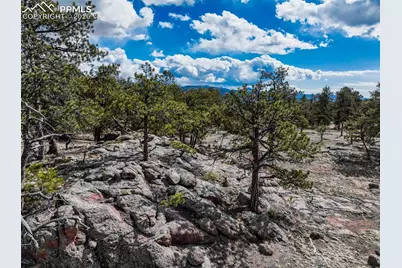 54 Ute Circle, Florissant, CO 80816 - Photo 4