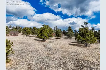 54 Ute Circle, Florissant, CO 80816 - Photo 2