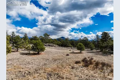 54 Ute Circle, Florissant, CO 80816 - Photo 18